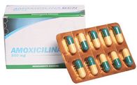 Amoxicillin Viên nén 500mg Vi khuẩn kháng thuốc bán tổng hợp