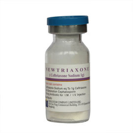 Tiêm bột khô vô trùng Ceftriaxone Natri để tiêm