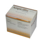 Viên nang tổng hợp dẫn xuất Ampicillin 250 mg 500 mg Thuốc kháng sinh đường uống